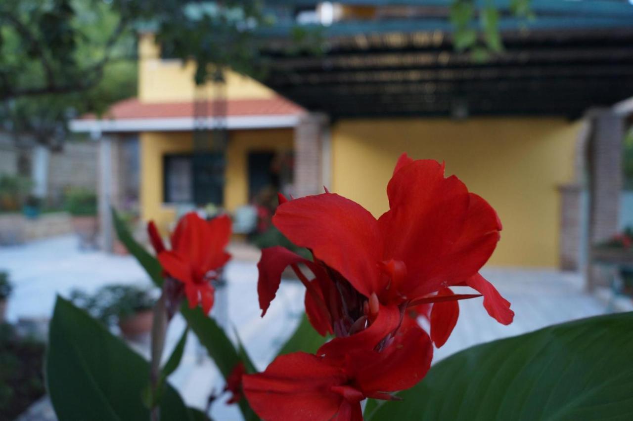 Villa Sofia Parga Exteriér fotografie